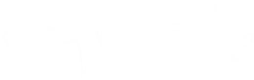 Ding Magazine logo white